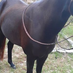 Leather barrel reigns with buckle attachments